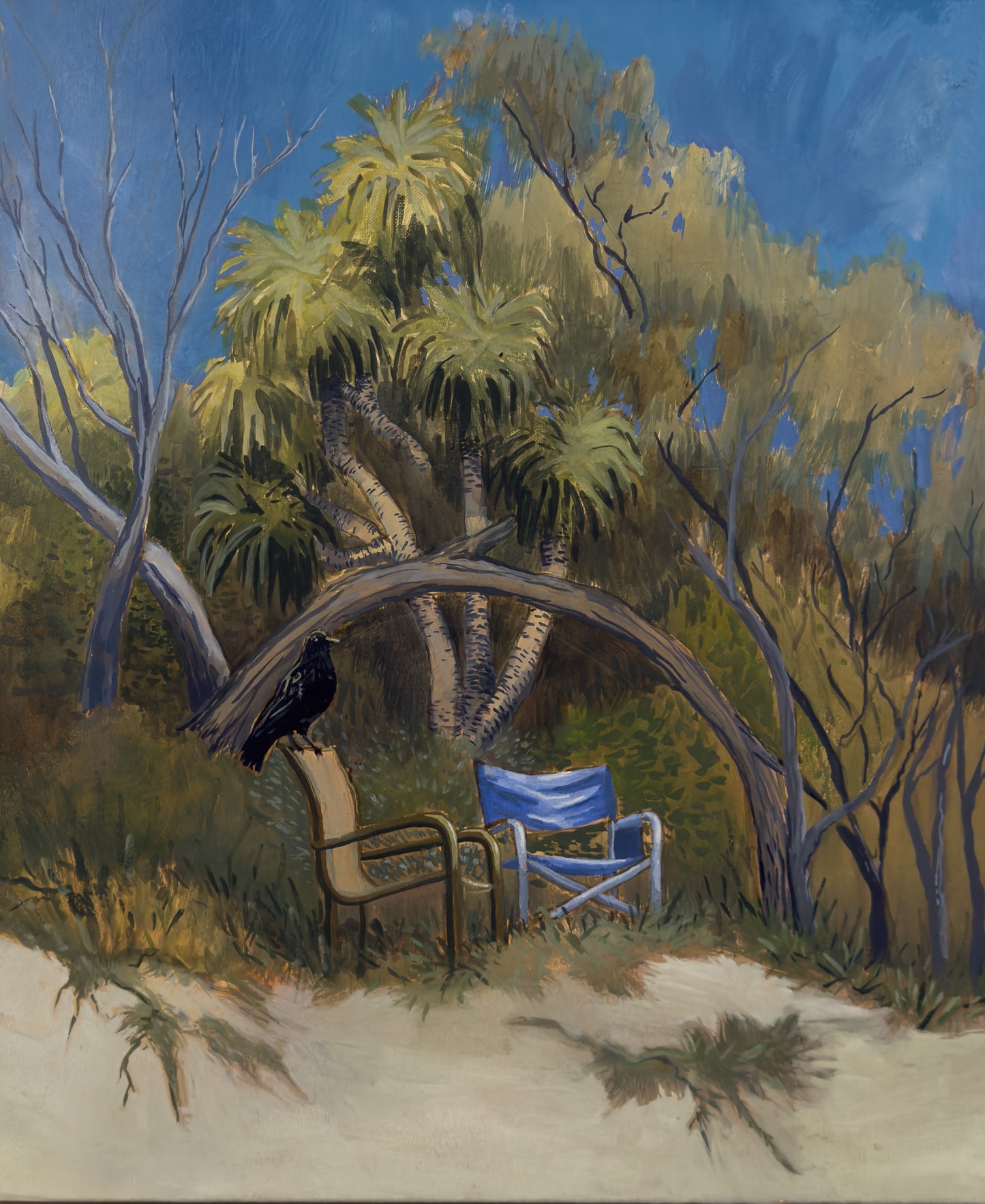 Best Seats in the House