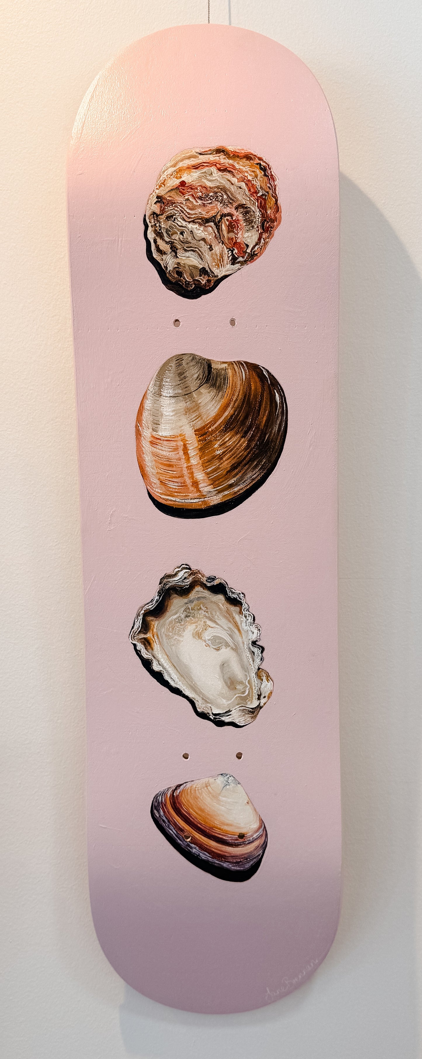 Shell Collector Skatedeck