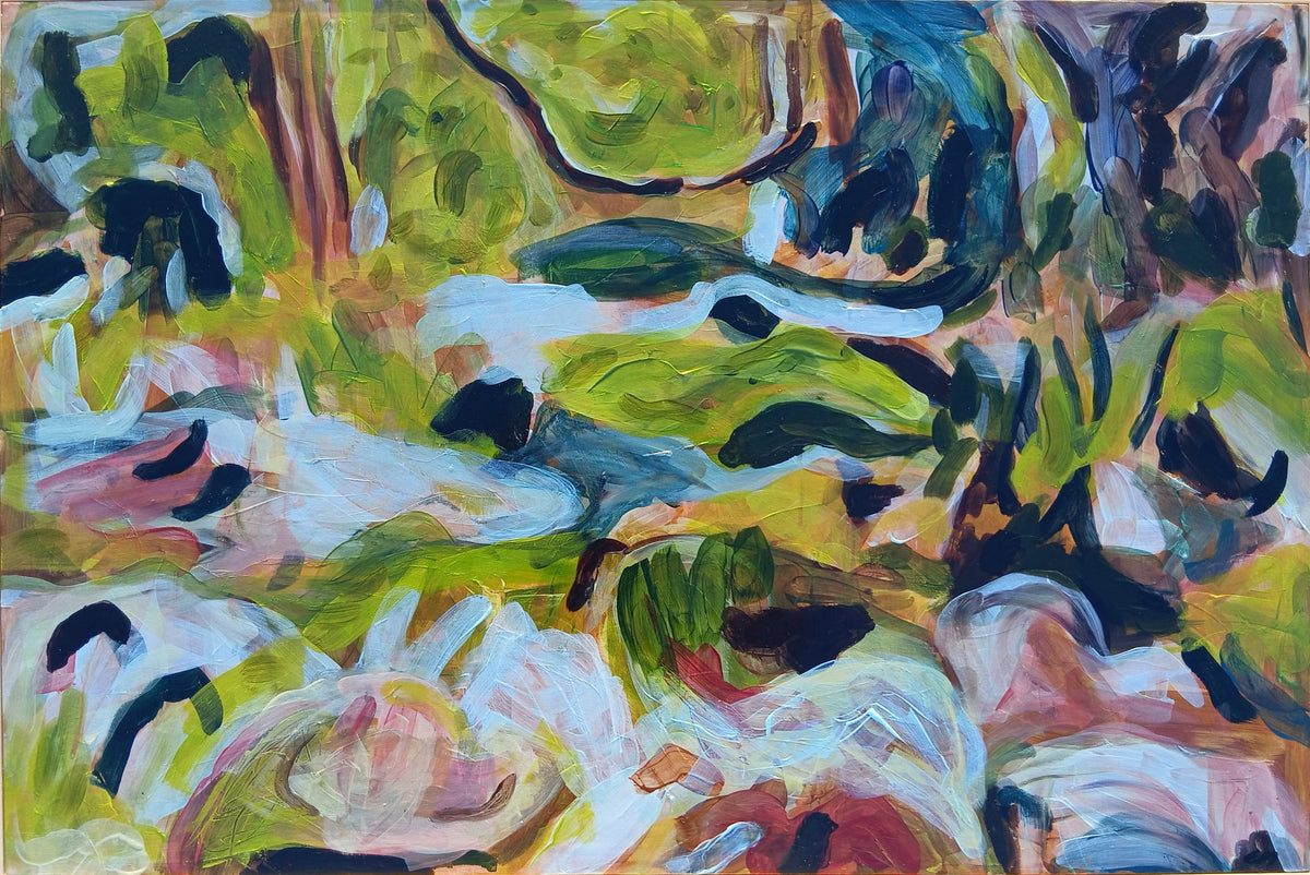 Currumbin Creek at Cougal Cascades