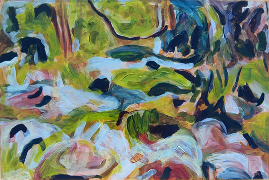 Currumbin Creek at Cougal Cascades