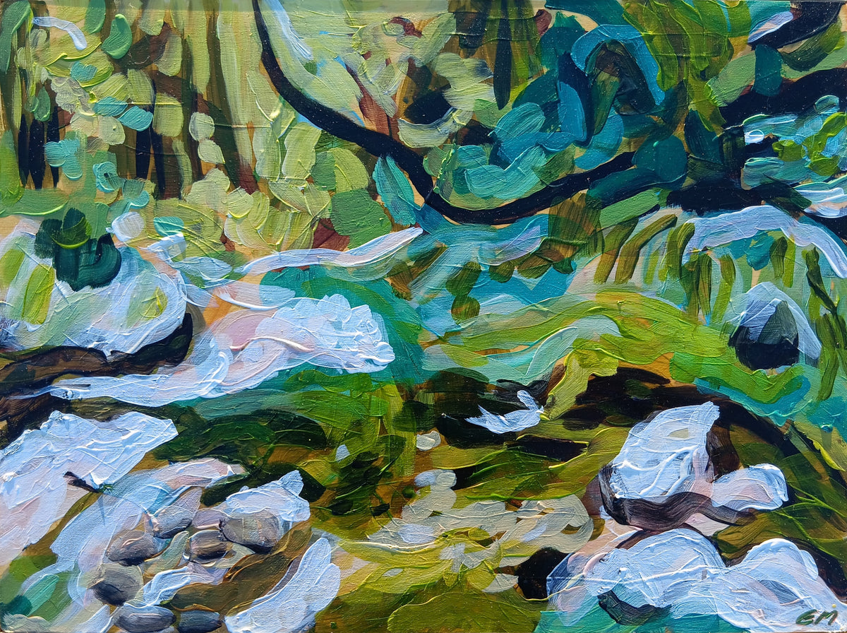 Rock Pool Reflections