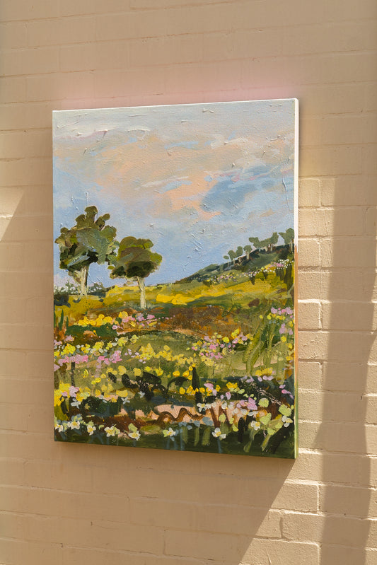 The Back Paddock
